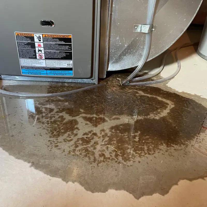 Appliance Leak Cleanup in Croswell, MI